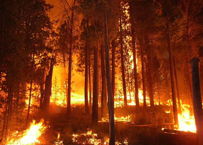 Wildfire near Yosemite National Park