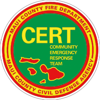 IFF_45_Mar15_CERT_Logo_VM