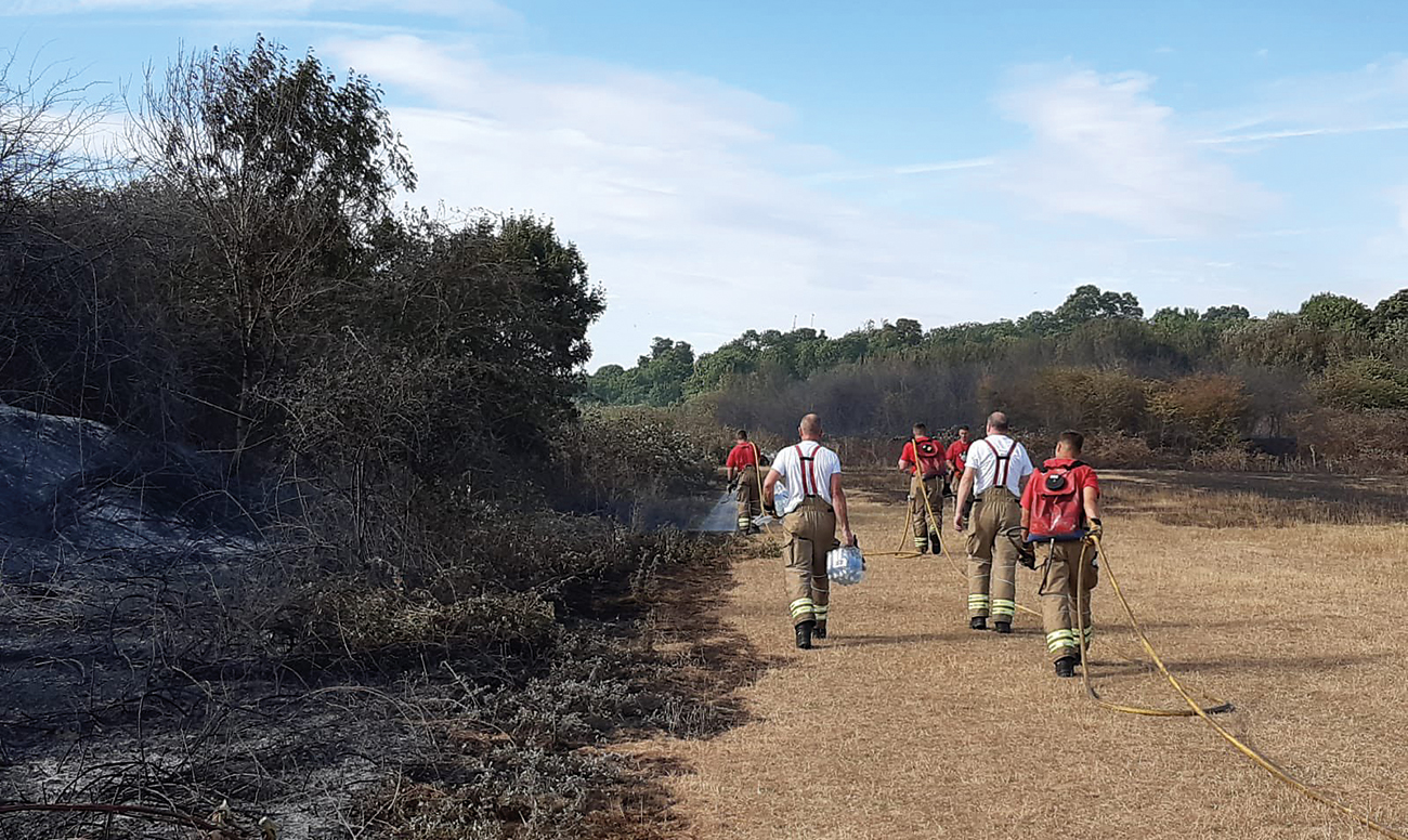 LFB crews attending a large grass fire in Hounslow, West London – July 2022. Image courtesy of London Fire Brigade Twitter